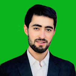 wajidali3133