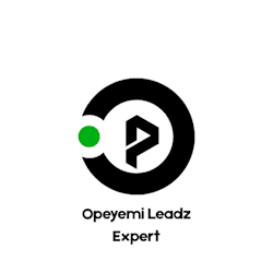 opeyemileadz