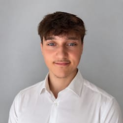 laurin_dev