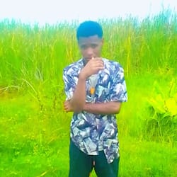 mamila_smart_la