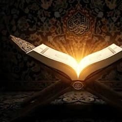 mdlabib761