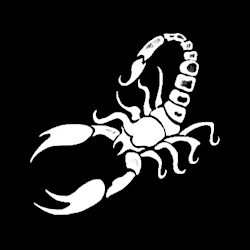 scorpionfilm