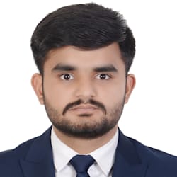 ameerhamza1134