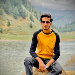 saadsalman6111