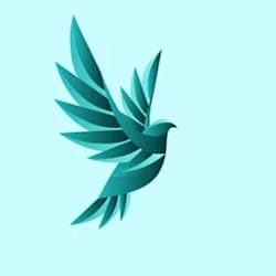 ismaeel_dev1
