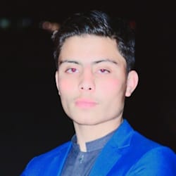 hashir_maliik