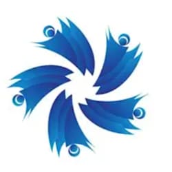 chenxinyang1