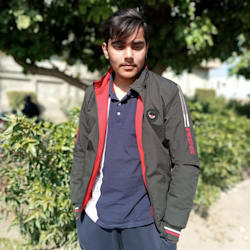 aliwarraich701