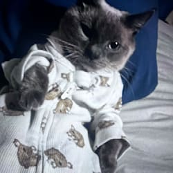 fluffycat9987