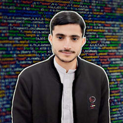 alizaman2019