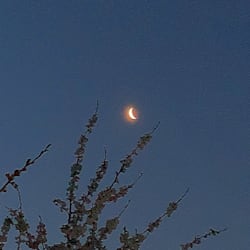 nighatrabban144