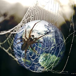 spiderdunia