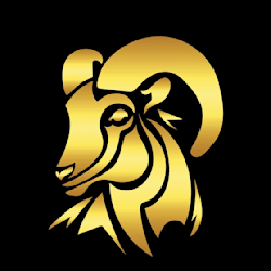 zylixrr