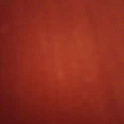 oliviajames2645