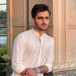 ameerhamzaisb