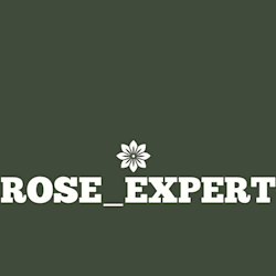 scott_exprt