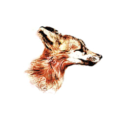 duncan_draws