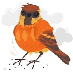 bird_in_sweater