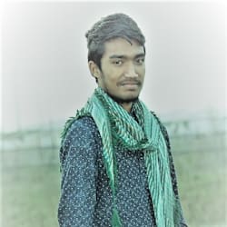 seoexprt12