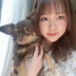 haruka_localiz