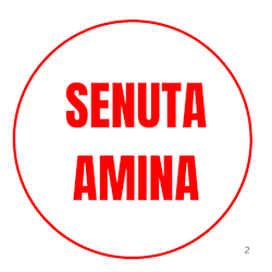 senetasint