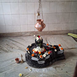 snehanavi
