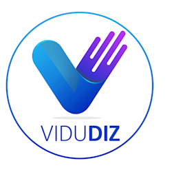 vidudiz