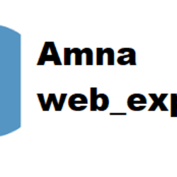 web_expert69