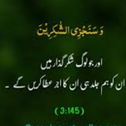hafizaayeza
