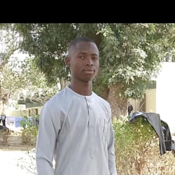 drewnice23