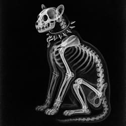 mpaxantakh