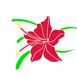 rishillustrator