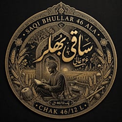saqibhular46ala