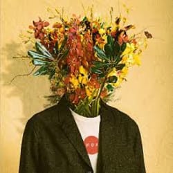 graphics_kind