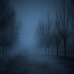 alex_02478
