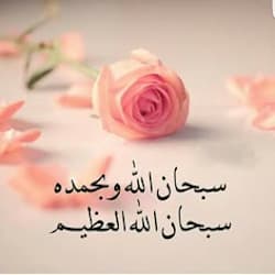 saadiyousafkha