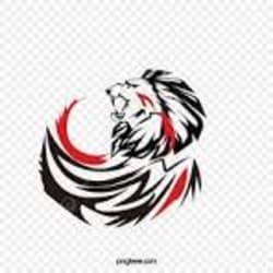 amber__store