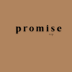 promiseex