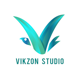 vikzonstudio