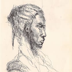 finneaus01