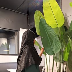 mehakshaikh245