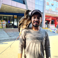 arsalan53585