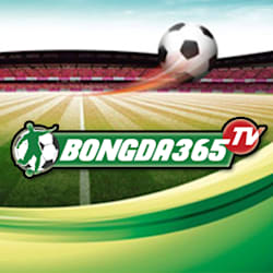 bongda365tvv