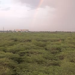 ankitkumar42252