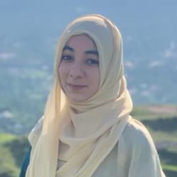 sarii_developer