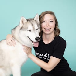 wagworksstudio