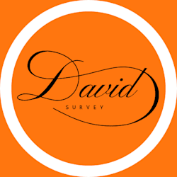 davvid_luyi