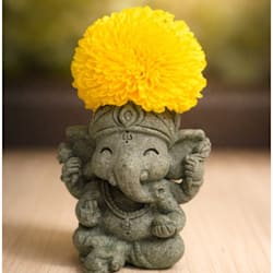 laxmiraj97