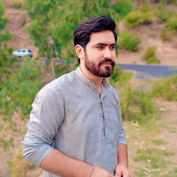 rafaqatmehmo310