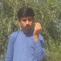 haseebhaseeb781